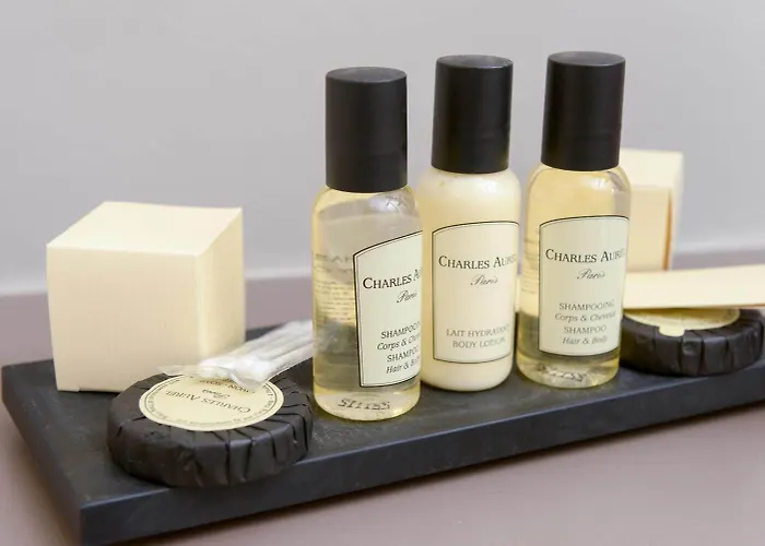 Hotel Munich City מלון 4*